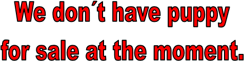  We dont have puppy
 for sale at the moment.
