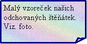 Ohnut� roh: Mal� vzore�ek na�ich odchovan�ch �t���tek.Viz. foto.