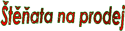 �t��ata na prodej