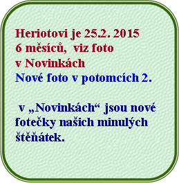 Zaoblen obdlnk:  Heriotovi je 25.2. 2015 6 msc,  viz foto v NovinkchNov foto v potomcch 2.  v Novinkch jsou novfoteky naich minulch ttek.                                     