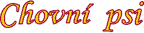 Chovn�  psi