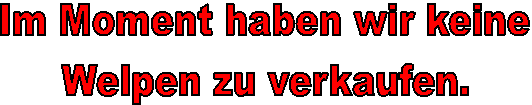 Im Moment haben wir keine
Welpen zu verkaufen.
