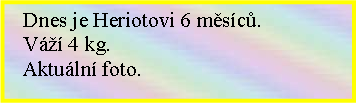 Textov pole:    Dnes je Heriotovi 6 msc.    V 4 kg.   Aktuln foto.