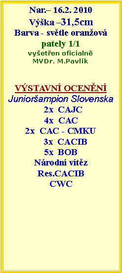 Textov pole: Nar. 16.2. 2010Vka 31,5cmBarva - svtle oranovpately 1/1vyeten oficialnMVDr. M.Pavlk VSTAVN OCENNJuniorampion Slovenska  2x  CAJC4x  CAC2x  CAC - CMKU    3x  CACIB5x  BOBNrodn vtzRes.CACIBCWC 