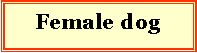 Textov pole: Female dog