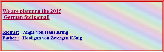 Textov pole:  We are planning the 2015
 German Spitz small Mother:   Angie von Haus Kring
Father :   Hooligan von Zwergen Knig